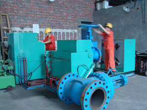 重慶金維實業(yè)有限責任公司